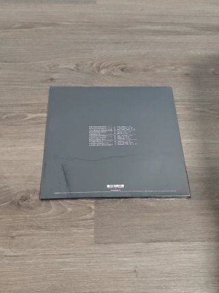 Vinilo Indie