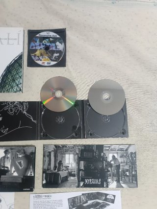 El Artista y la Modelo Blu-ray/DVD + Libro Dalí