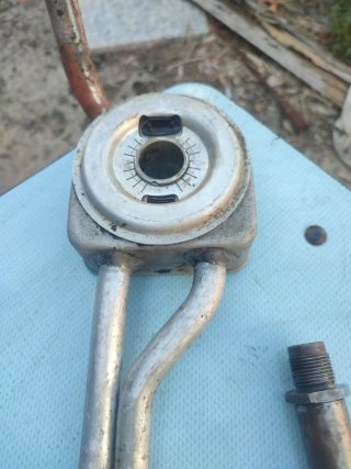Enfriador Aceite Saxo 16v + Tornillo