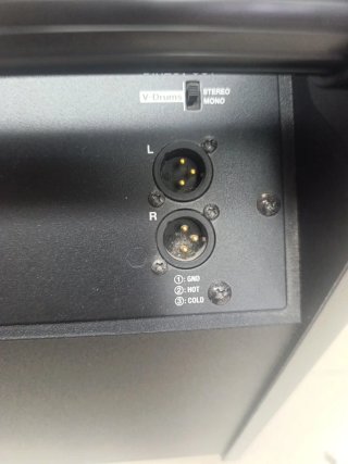 Monitor Roland PM-200 Personal Monitor