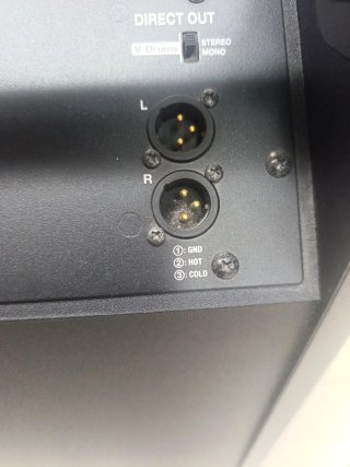 Monitor Roland PM-200 Personal Monitor