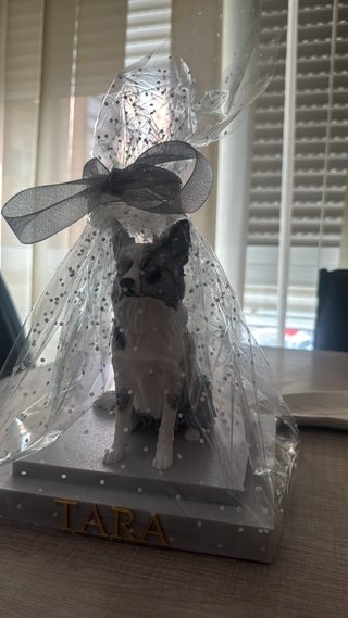 Figura personalizada de tu mascota