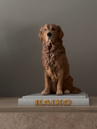Figura personalizada de tu mascota