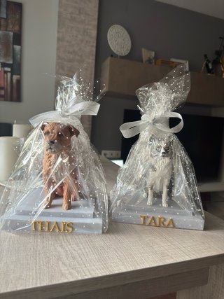 Figura personalizada de tu mascota