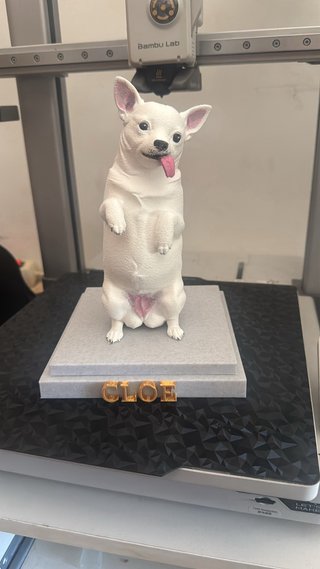 Figura personalizada de tu mascota