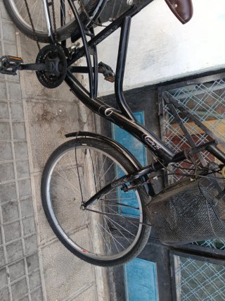 Bicicleta Country 26