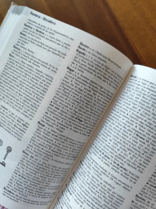 NUEVO DICCIONARIO ESCOLAR DE LA LENGUA ESPAÑOLA