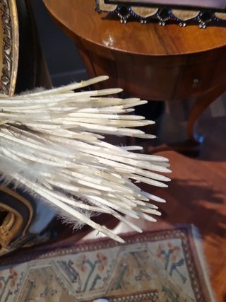 Plumas de Pavo Real Decorativas, se vende por unid