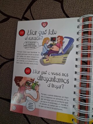 El cuerpo humano respuestas rápidas para pregun...