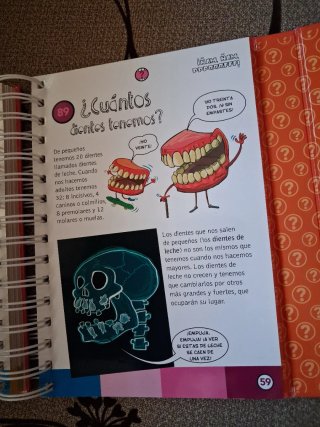 El cuerpo humano respuestas rápidas para pregun...