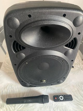 Altavoz Portátil con Micrófono y Mando. Auna