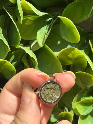 Anillo Sello Plata Verde Ajustable