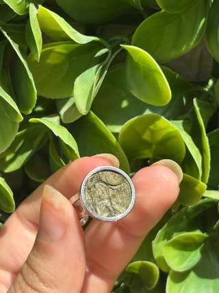 Anillo Sello Plata Verde Ajustable