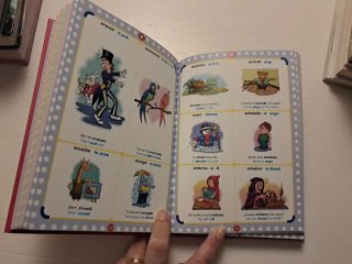 Dicicionario español inglés