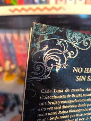 El Coleccionista de Brujas