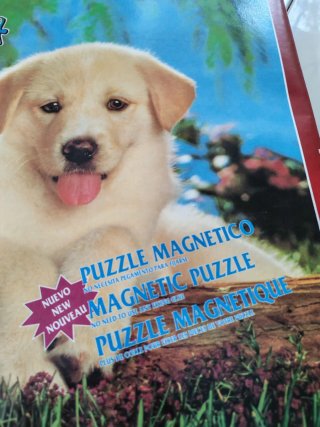 Puzzle Magnético
