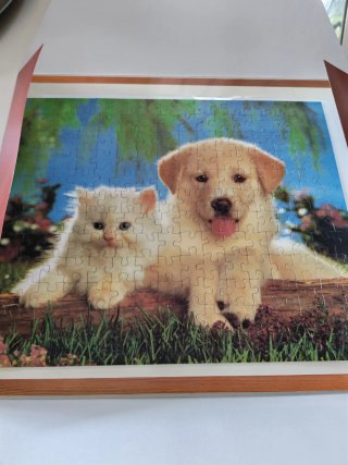 Puzzle Magnético