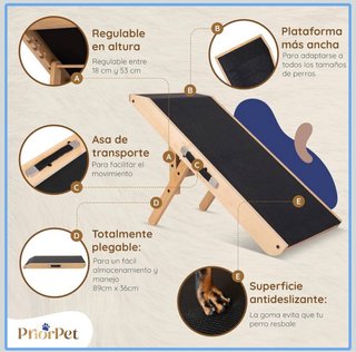 Rampa para perros