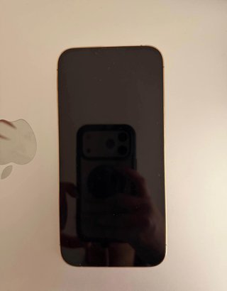 iPhone 13 Pro Max 256GB Dorado