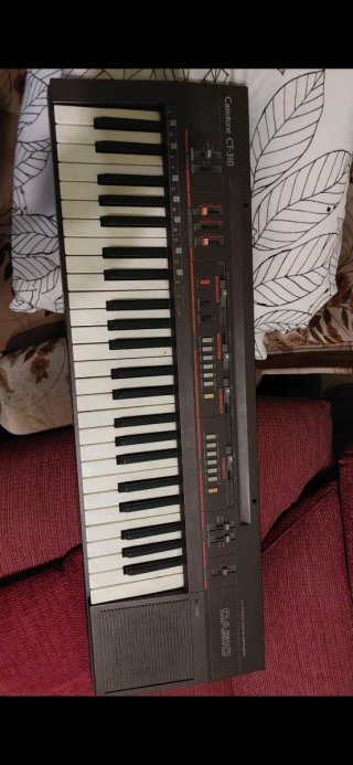 Teclado Casio CT-310 con cargador