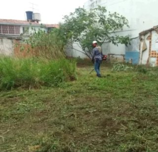 Jardinero