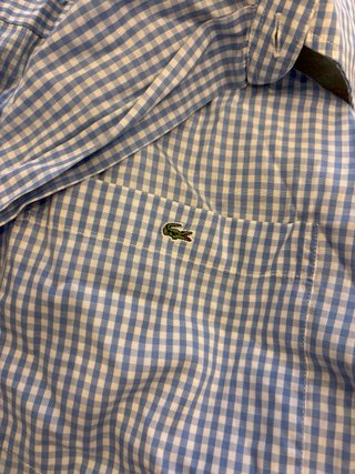 Lote 5 Camisas Hombre Hugo Boss, Lacoste, Massimo