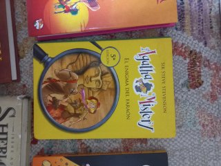 Lote libros juveniles