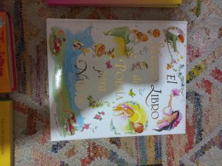 Lote libros juveniles