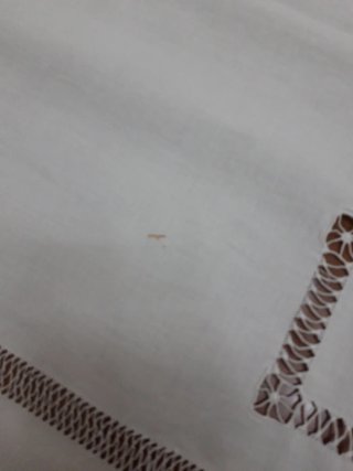 Finta matrimoniale in cotone traforato