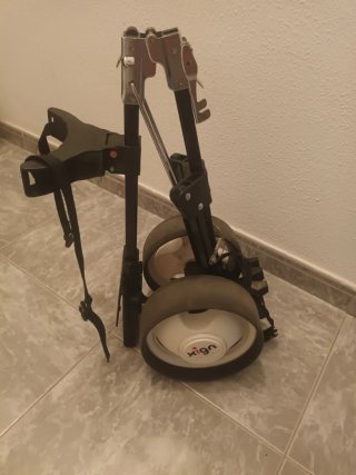 Carrito de golf plegable