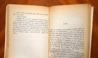 Insolación. Emilia Pardo Bazán