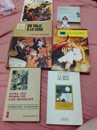 Lote 6 libros: Verne, London, Gavalda...