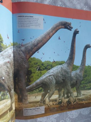 Un Viaje a la Prehistoria - Dinosaurios