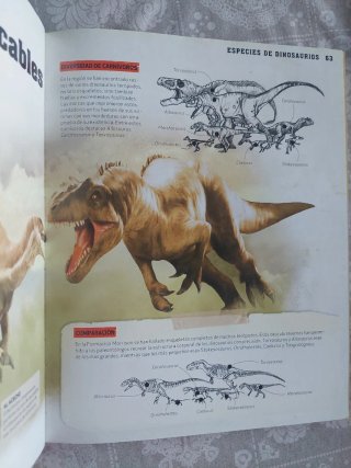 Un Viaje a la Prehistoria - Dinosaurios