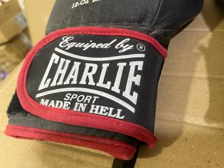 Guantes Boxeo Charlie Rude Boys 12oz