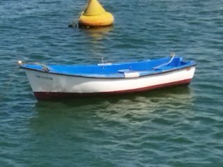 Barco de fibra 3,8m