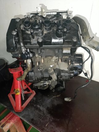Motor Triumph Street Triple 675 2015