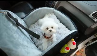 Asiento de perros para coche negro/gris