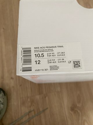 Nike Pegasus Trail ACG