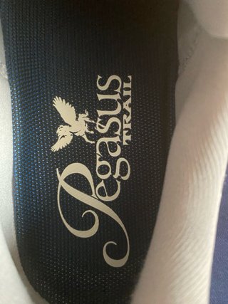 Nike Pegasus Trail ACG