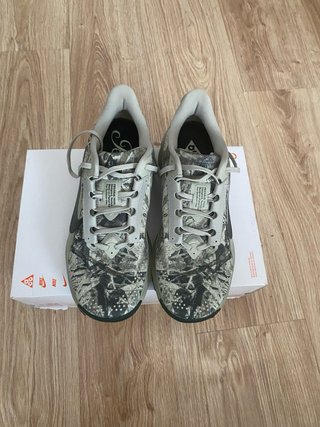 Nike Pegasus Trail ACG