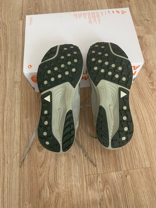 Nike Pegasus Trail ACG