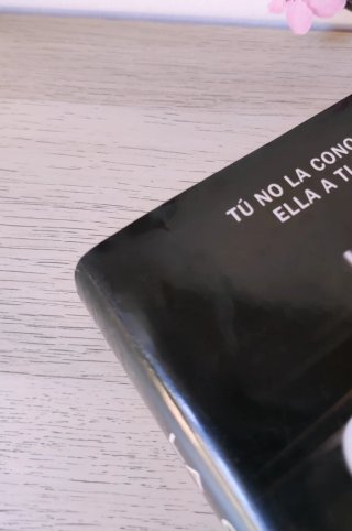 Novela: La chica del tren
