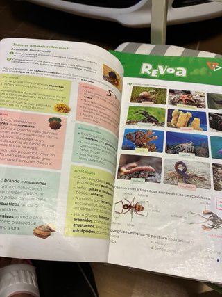 Ciencias da Natureza. 5 Primaria. Revoa sm xerme