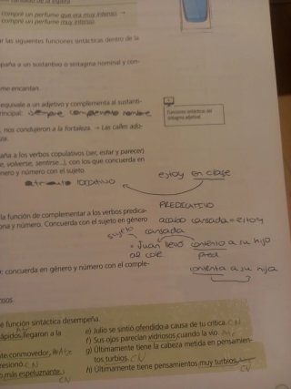 Término, Lengua, Bachillerato