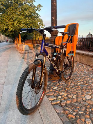 Bicicleta con silla para niño/a