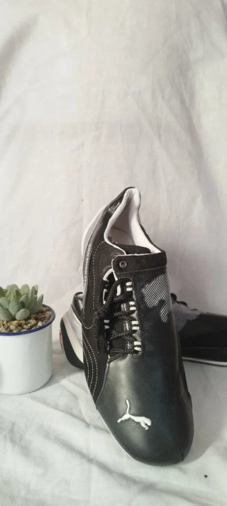 Zapatillas Puma BMW Sauber F1 Team Talla 41