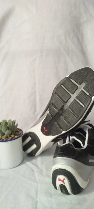 Zapatillas Puma BMW Sauber F1 Team Talla 41