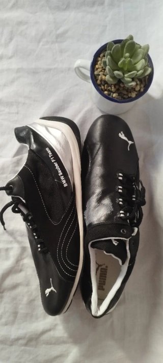 Zapatillas Puma BMW Sauber F1 Team Talla 41