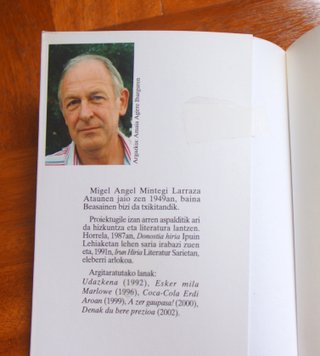 Migel Anjel Mintegi. Bidelapurrak